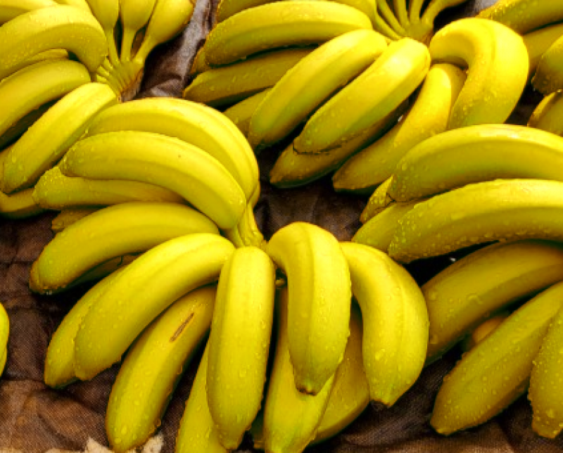 참거래농민장터,유기농 국산 바나나